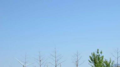 91短视频在线看国际家居:把爱与温暖送到智障孩子心中 